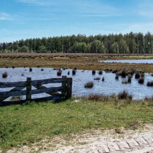Radtour Mantingerveld und Hoogeveense Venen