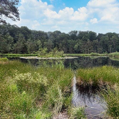 Radtour Friese Wouden und Opsterland