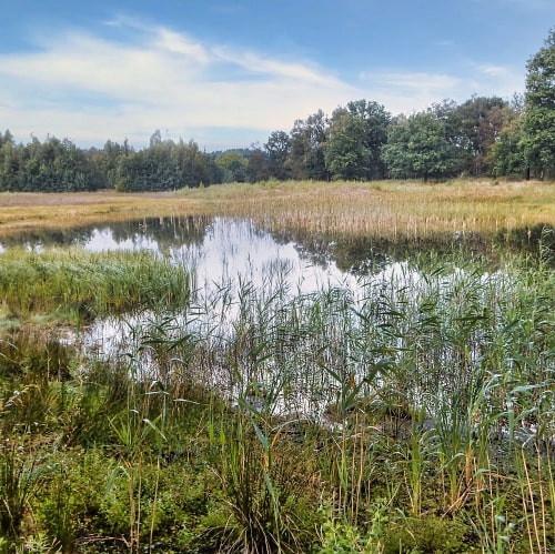 Radtour Gelderse Vallei und Speulder- en Sprielderbos