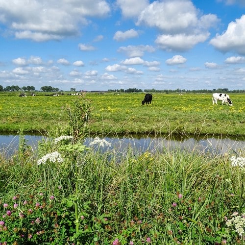 Cycle route Land van Leeghwater and UNESCO World Heritage Beemster