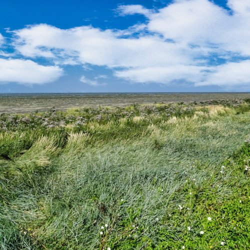 Radtour Hollands Kroon und Wieringen