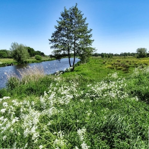 Fietsroute Veluwse Broeken en Sprengen