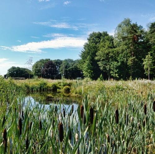 Radtour Hart van Twente und Dinkelland