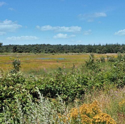 Radtour Twenterand und Vechtdal