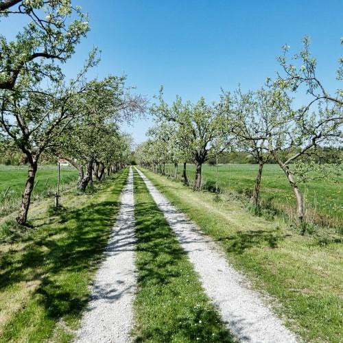 Radtour Nationalpark Utrechtse Heuvelrug und Kromme Rijngebied