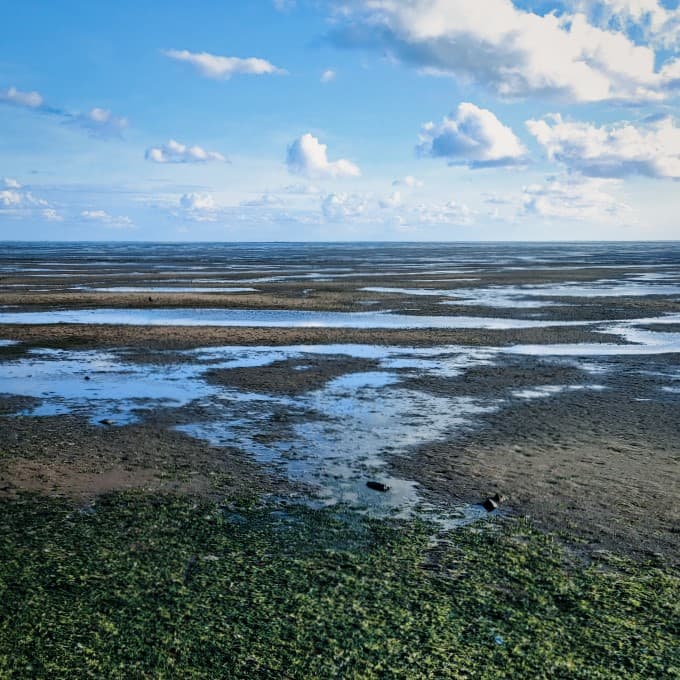 Fietsroutes in Friesland