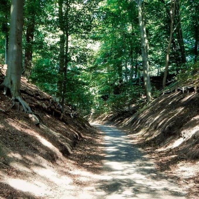 Fietsroutes in Drenthe
