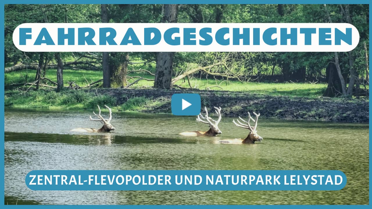 Fahrradgeschichten in Midden-Flevopolder und Natuurpark Lelystad