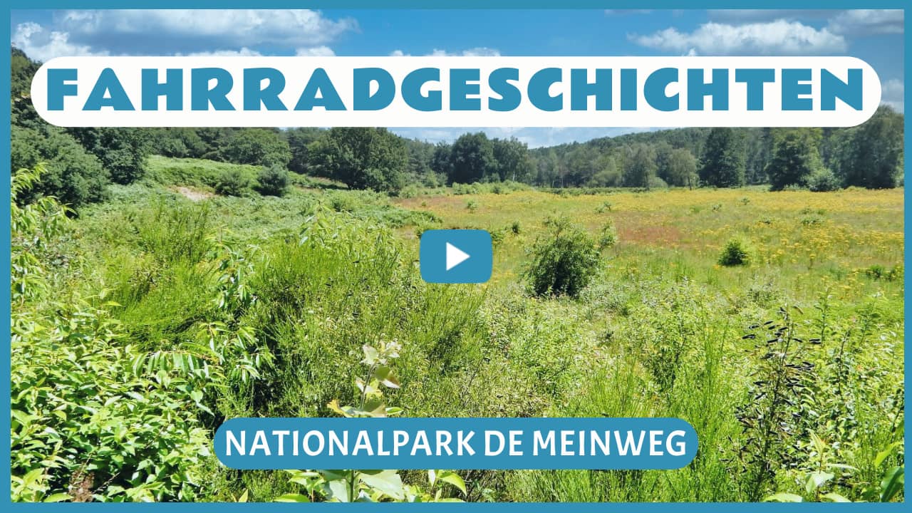 Fahrradgeschichten in Nationalpark De Meinweg