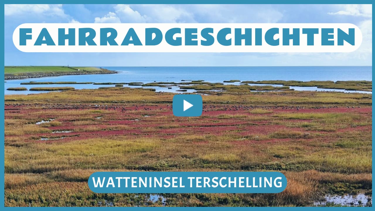 Fahrradgeschichten Watteninsel Terschelling