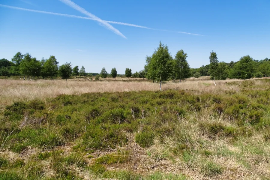 Fietsroute door het Mantingerveld en de Hoogeveense Venen