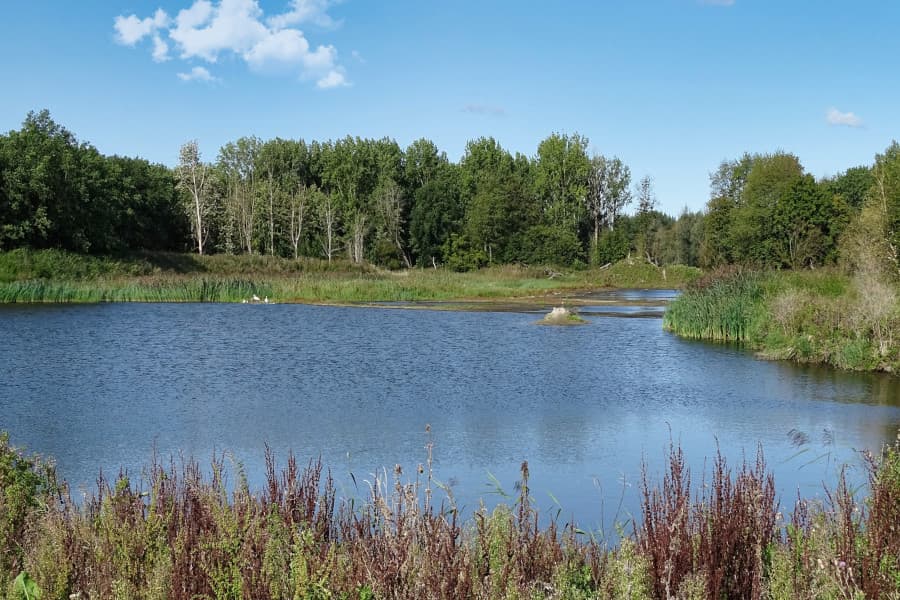 Radtour Nationalpark Nieuw Land und Oostvaardersplassen