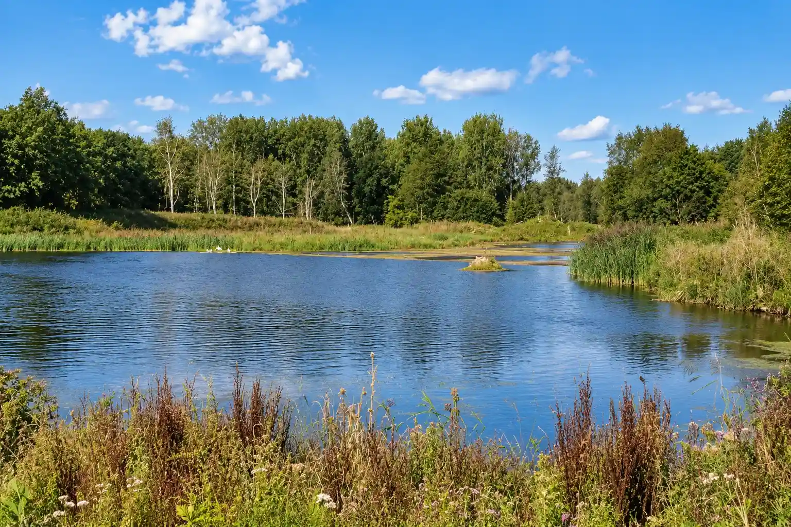 Radtour durch den Nationalpark Nieuw Land und die Oostvaardersplassen