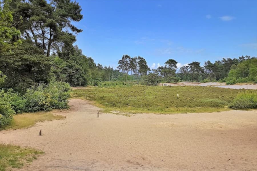 Radtour Friese Wouden und Opsterland