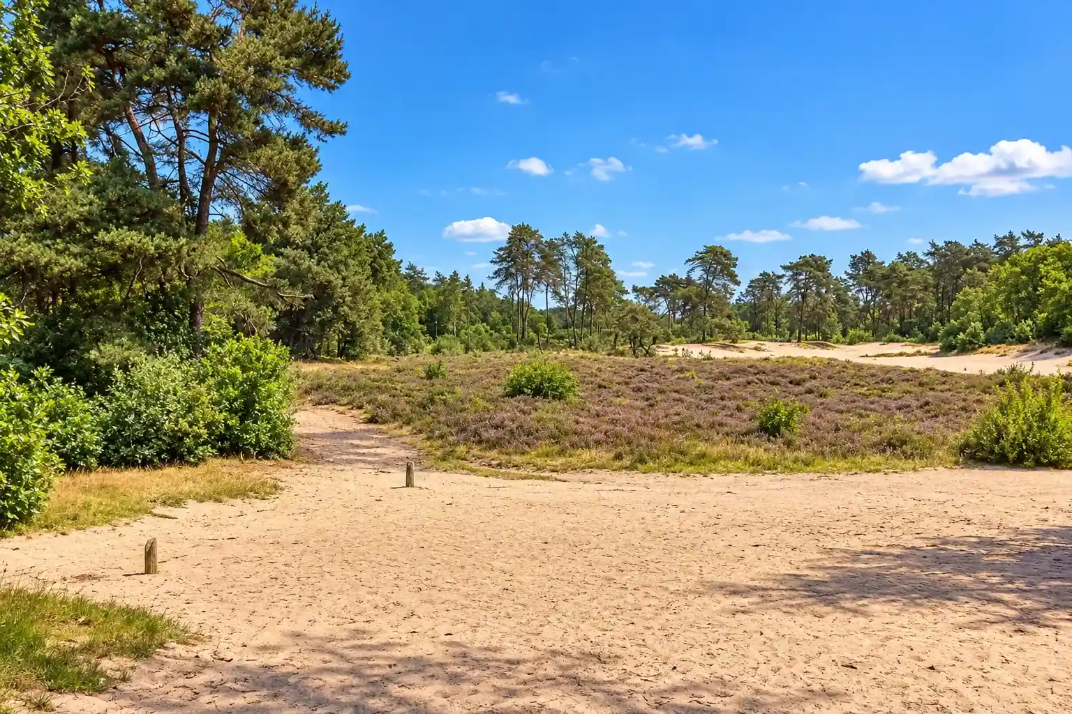 Cycling route through Zuidoosthoek Friesland and Opsterland