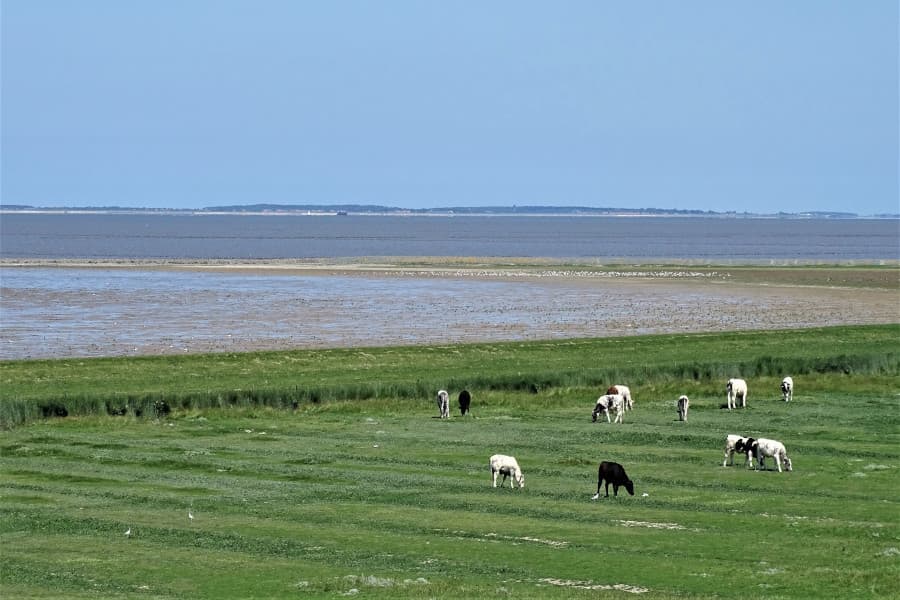 Radtour Nordost-Friesland und Wattenmeer