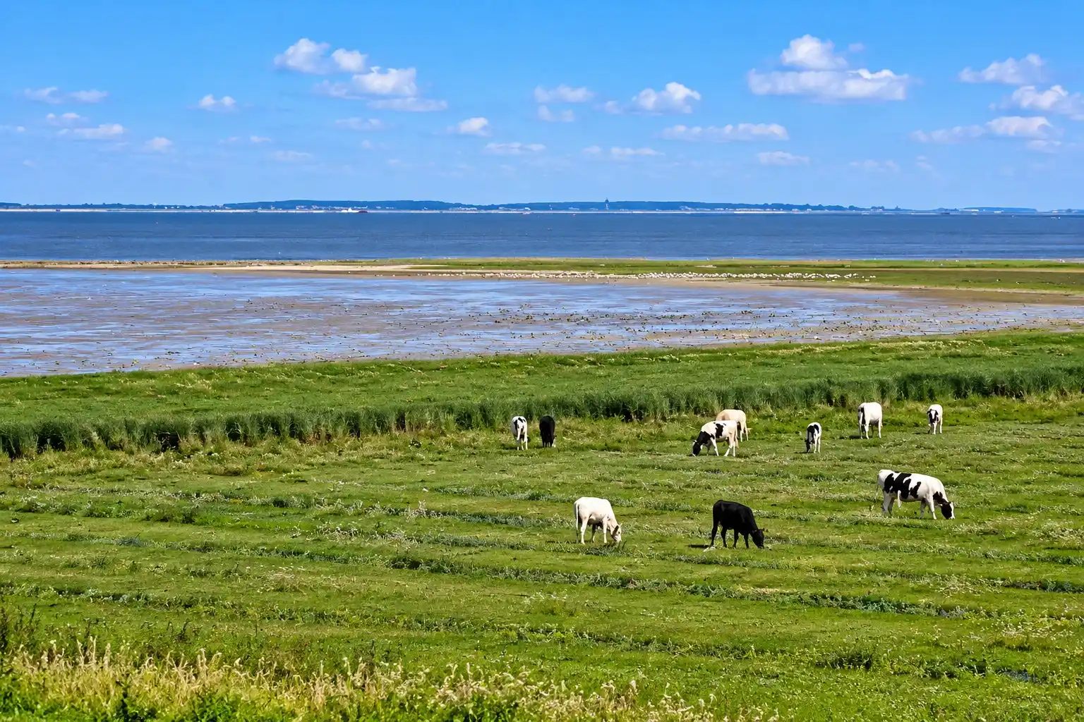 Cycling route through Northeast Friesland and the Wadden Sea