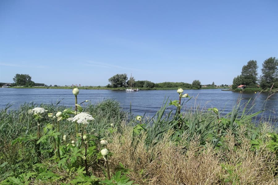 Radtour Nationalpark De Alde Feanen