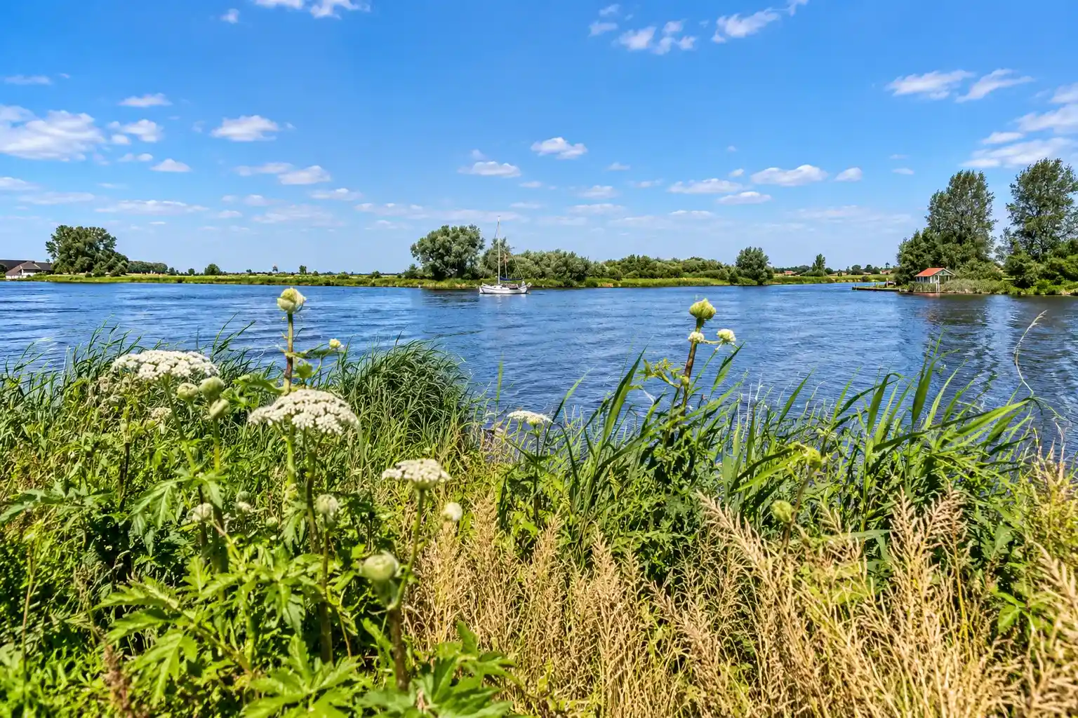 Cycling route through National Park De Alde Feanen