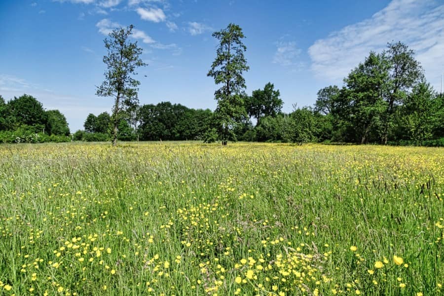 Fietsroute Nationaal Landschap Noardlike Fryske Wâlden