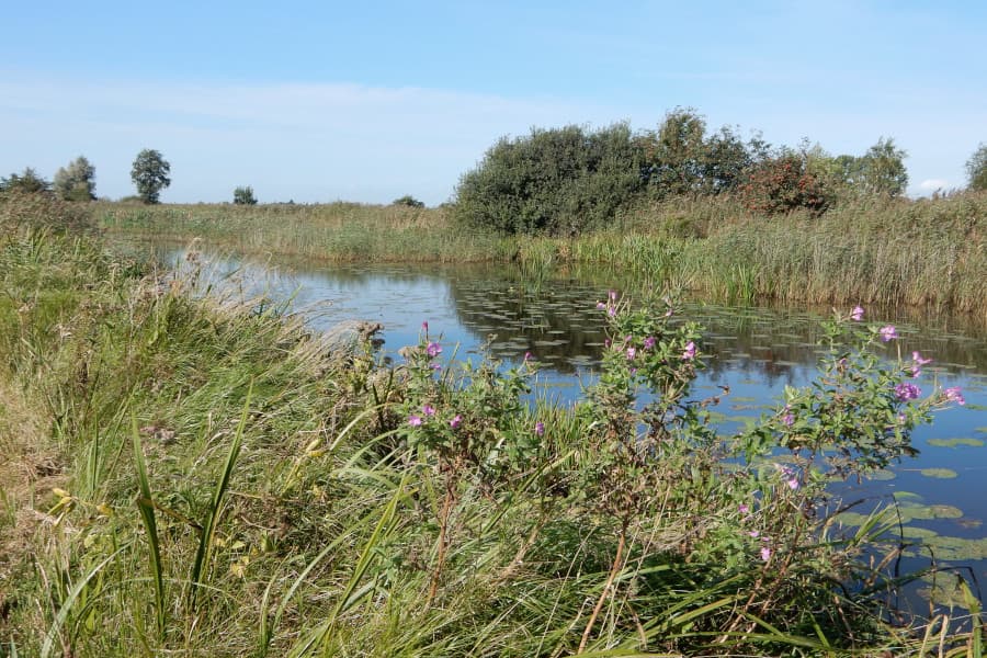 Radtour Weststellingwerf und Schoterland