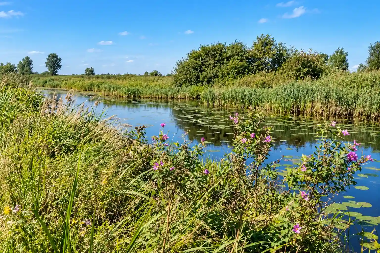 Cycling route through Stellingwerven and Schoterland