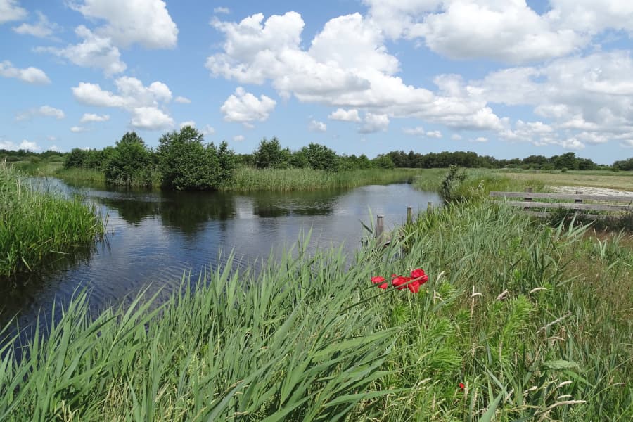 Radtour Groene Ster und Friese Wouden