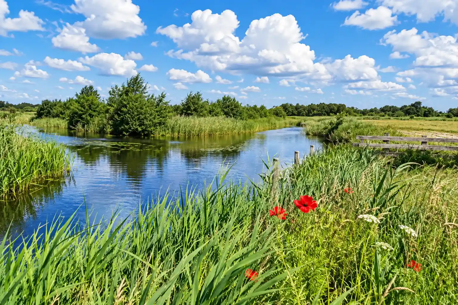 Cycling route through Groene Ster and Friese Wouden