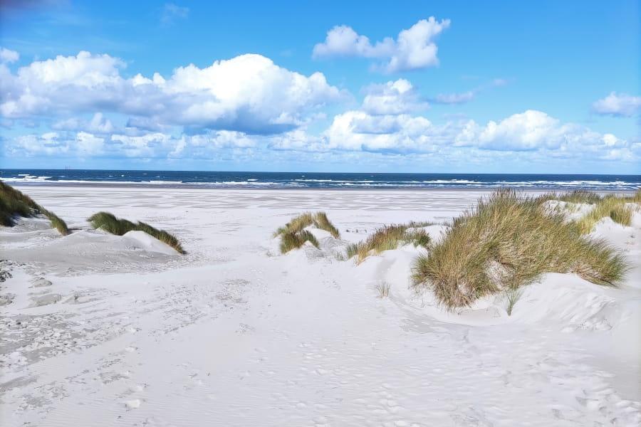 Radtour Watteninsel Terschelling
