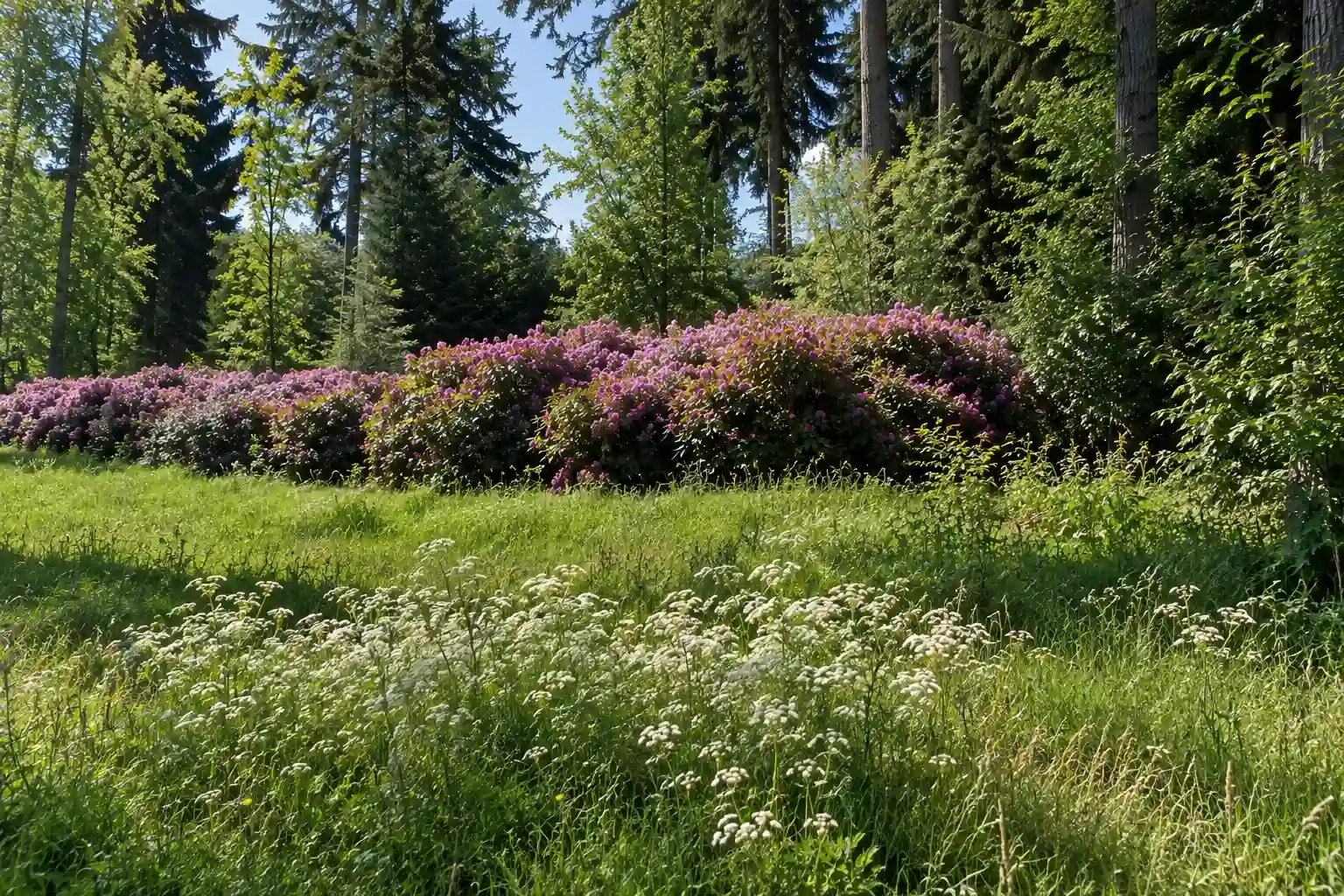 Radtour durch die nordöstliche Veluwe und das IJsseltal