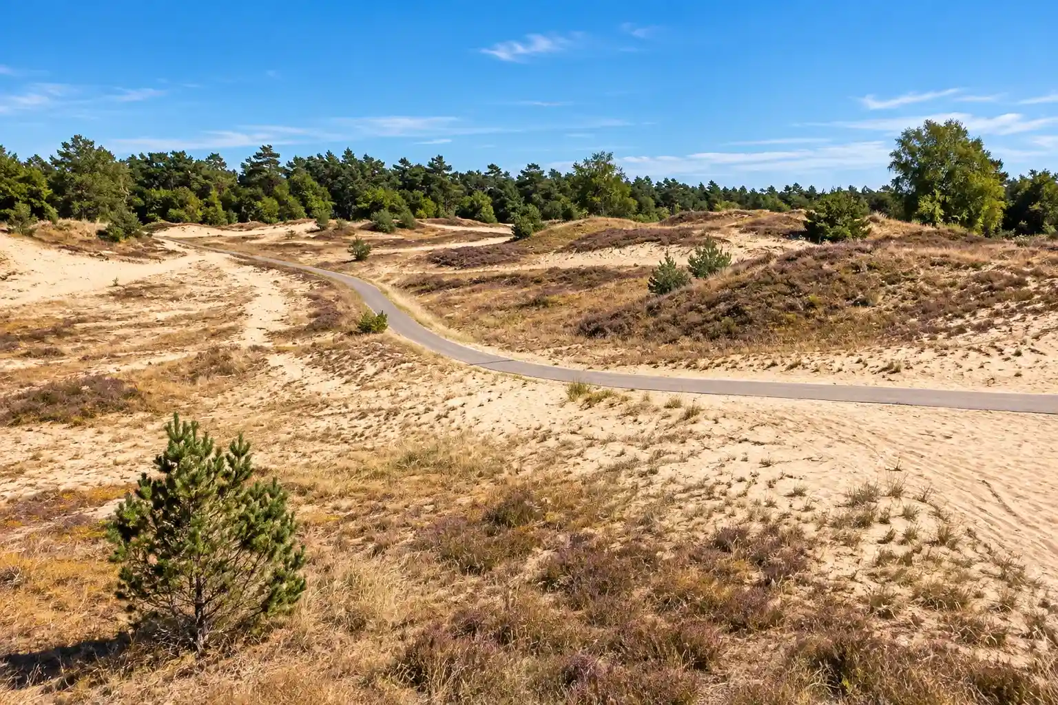 Radtour durch die nordwestliche Veluwe