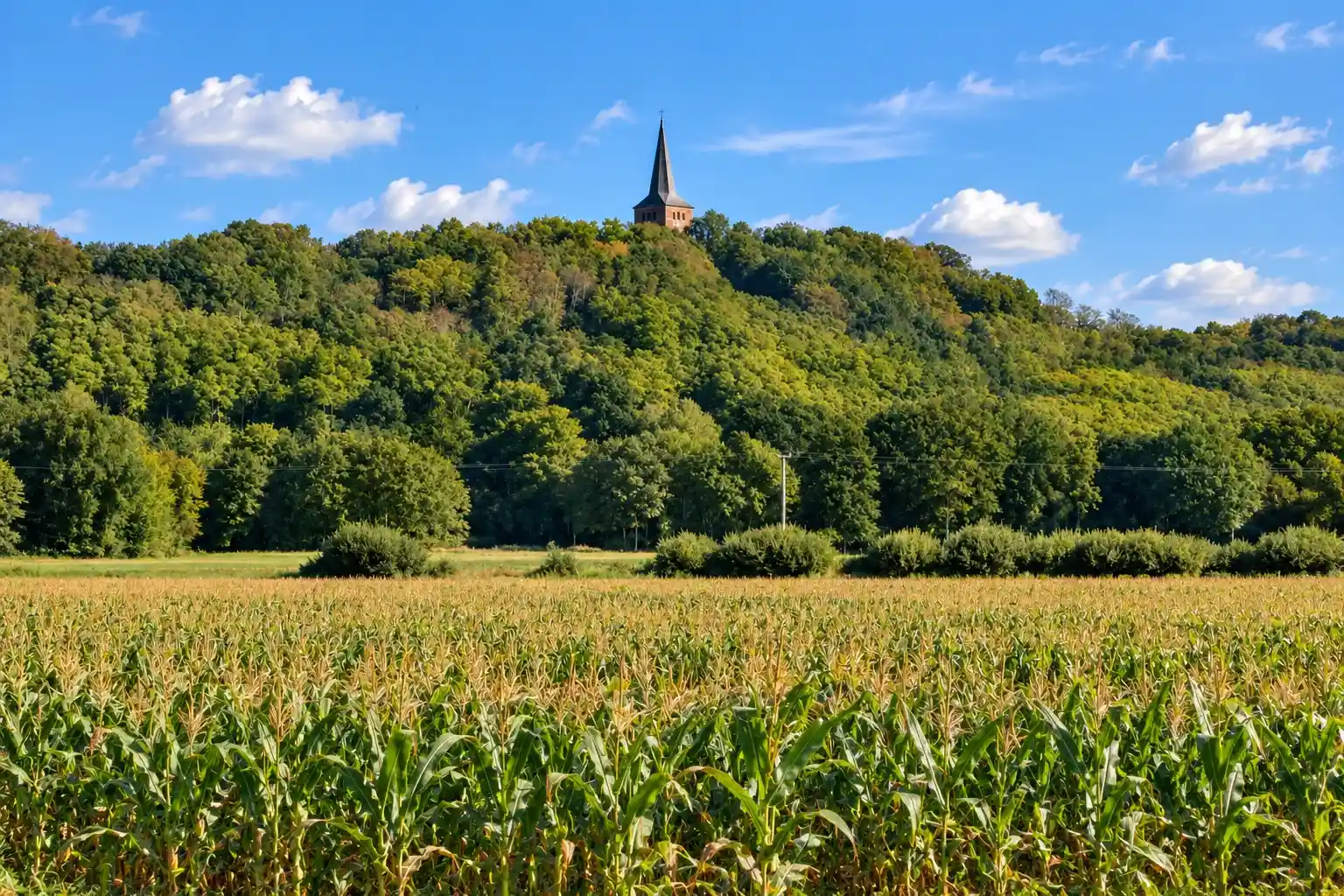 Radtour durch den Liemers und 't Gelders Eiland