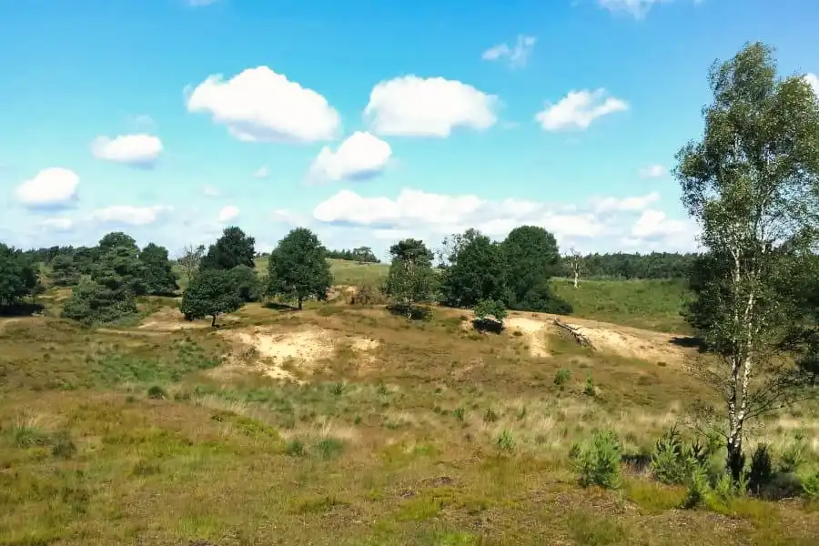 Radlandschaft in Gelderland