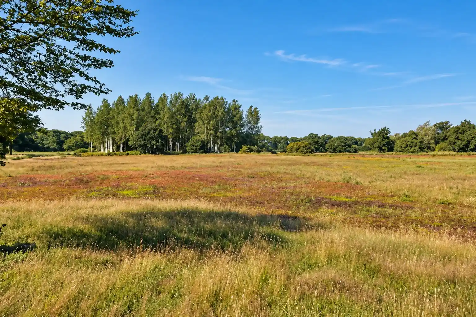 Radtour durch die Oude IJsselstreek und Oost Gelre