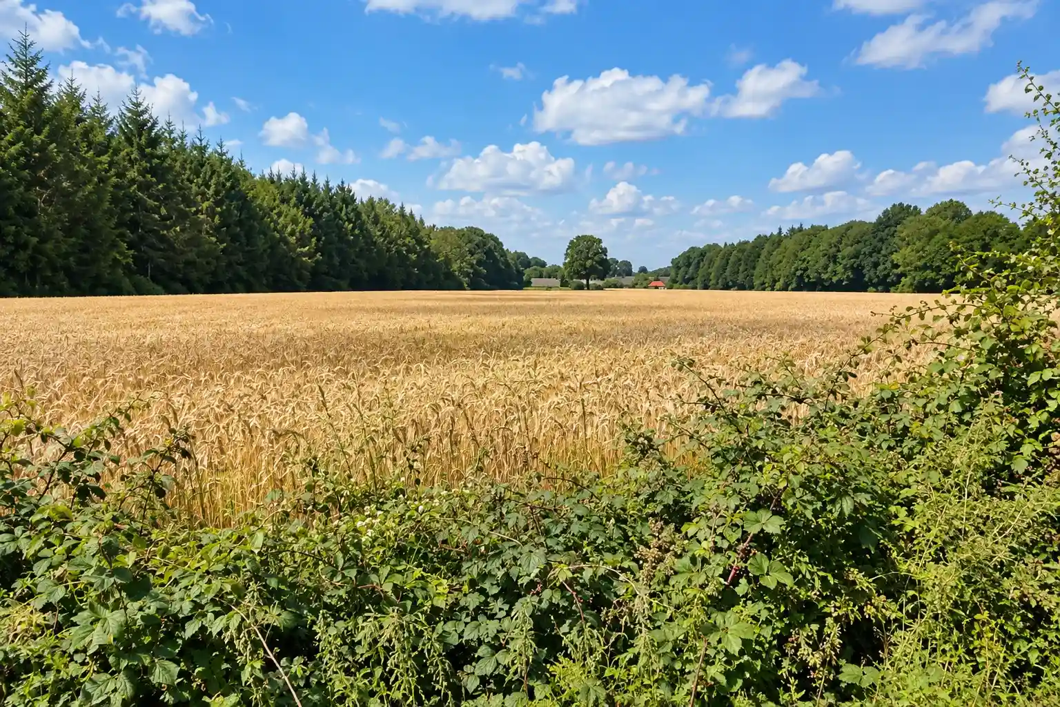Radtour durch die National Landscape Winterswijk