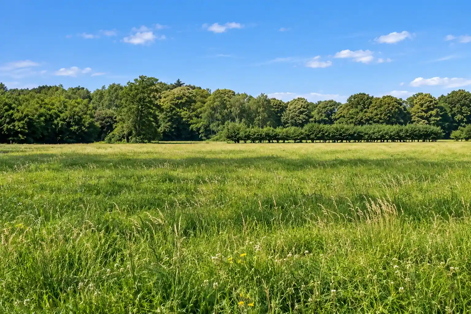 Radtour durch den Achterhoek und Bronckhorst