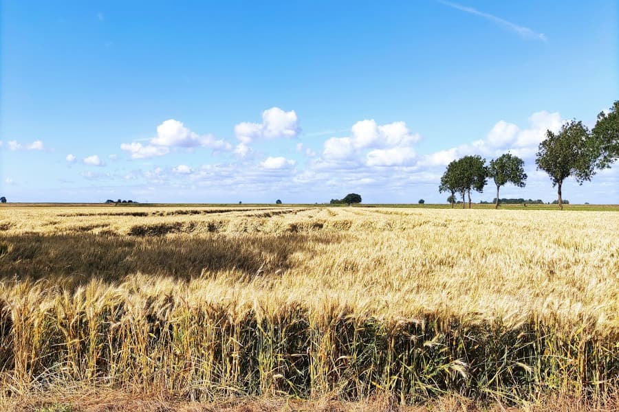 Radtour Reiderland und Dollart