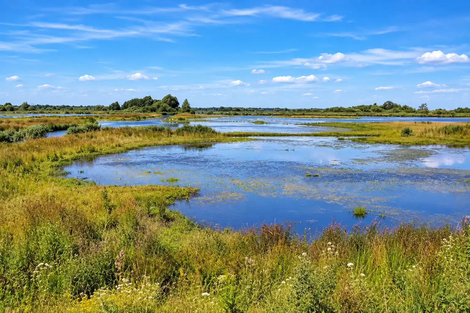Cycling landscape in Groningen