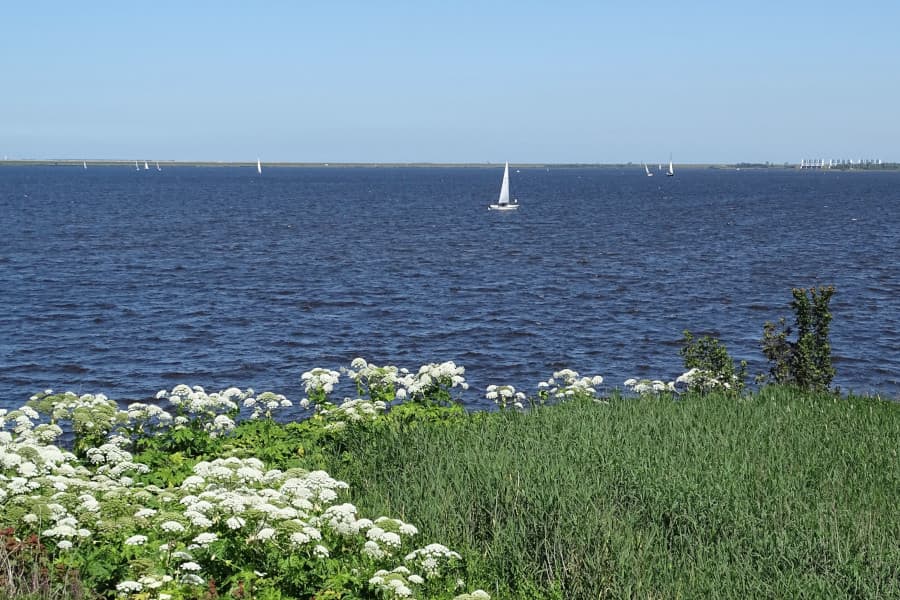 Radtour Nationalpark Lauwersmeer