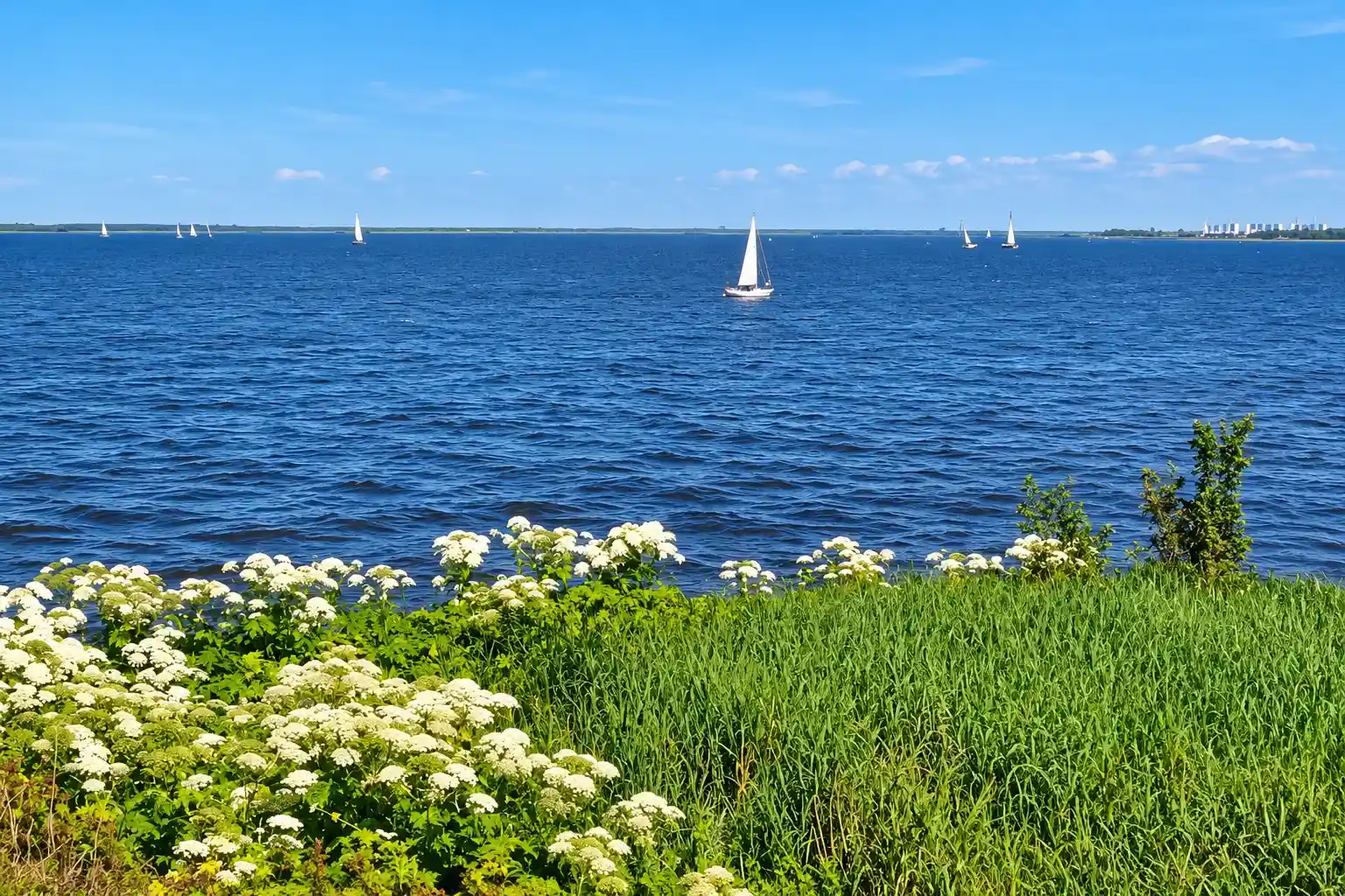 Radtour durch den Nationalpark Lauwersmeer