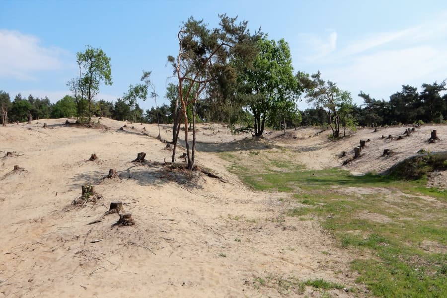 Radtour Maasduinen und Maasgaard