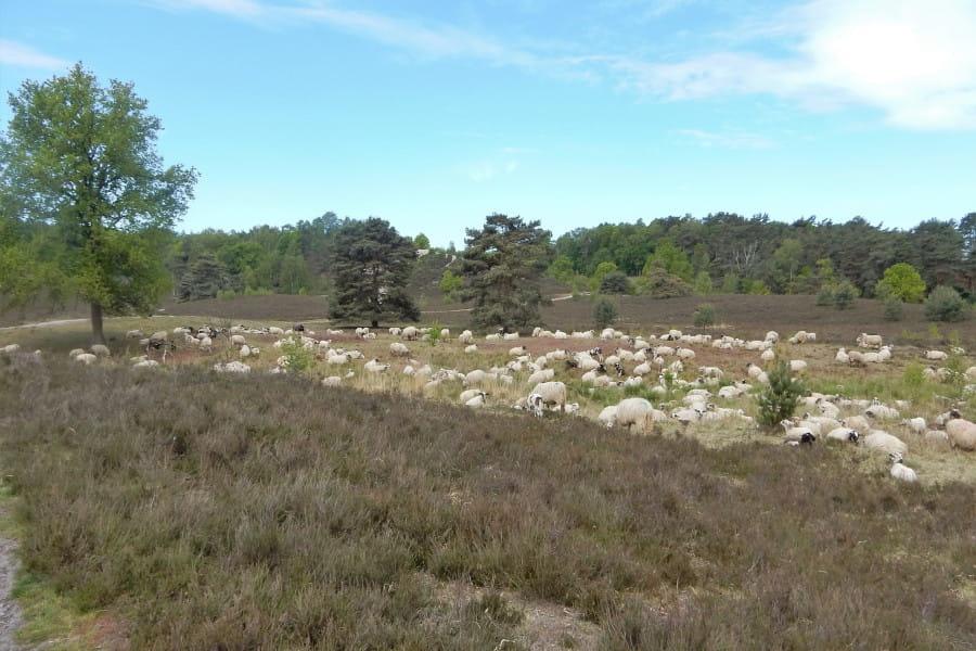 Radtour Parkstad Limburg und Niederrheinisches Tiefland