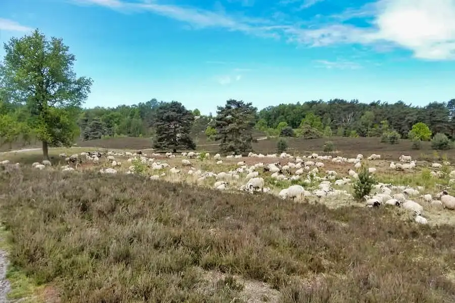 Cycling route through Parkstad Limburg and the Lower Rhine Plain
