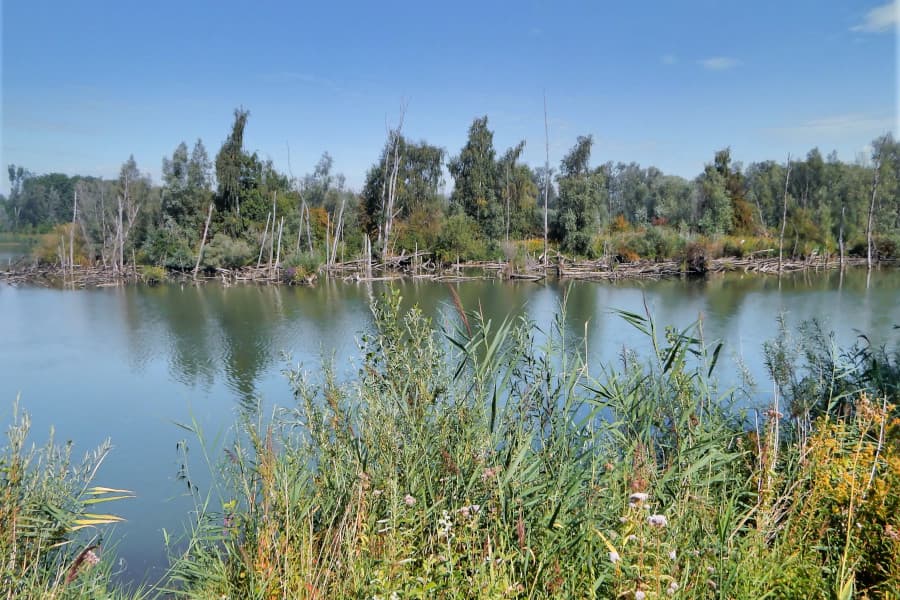 Radtour Nationalpark De Biesbosch