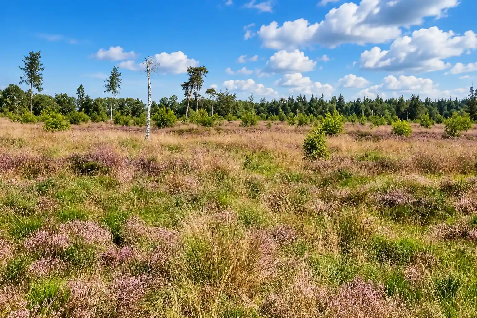 Fietsroute door de Kempen en de Acht Zaligheden