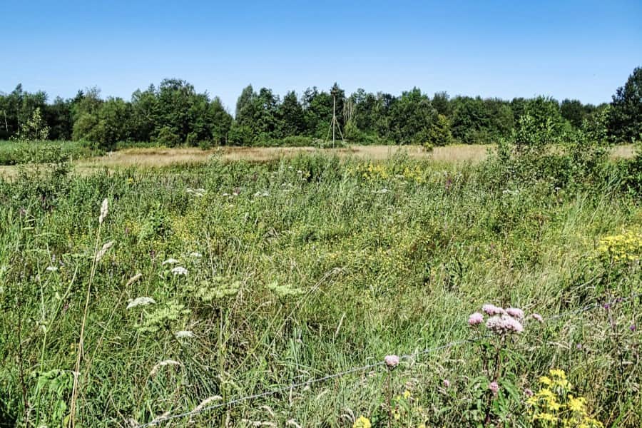 Fietsroute Nationaal Park Drents-Friese Wold