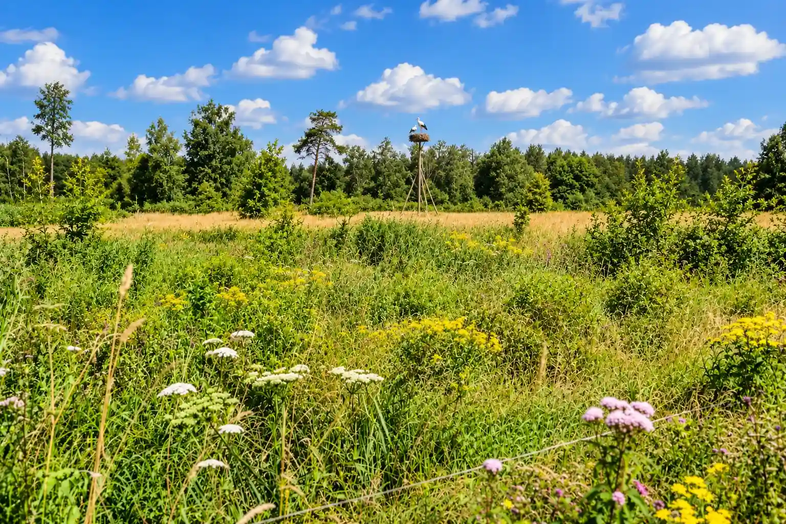 Fietsroute door de Baronie van Breda en de Chaamse Bossen