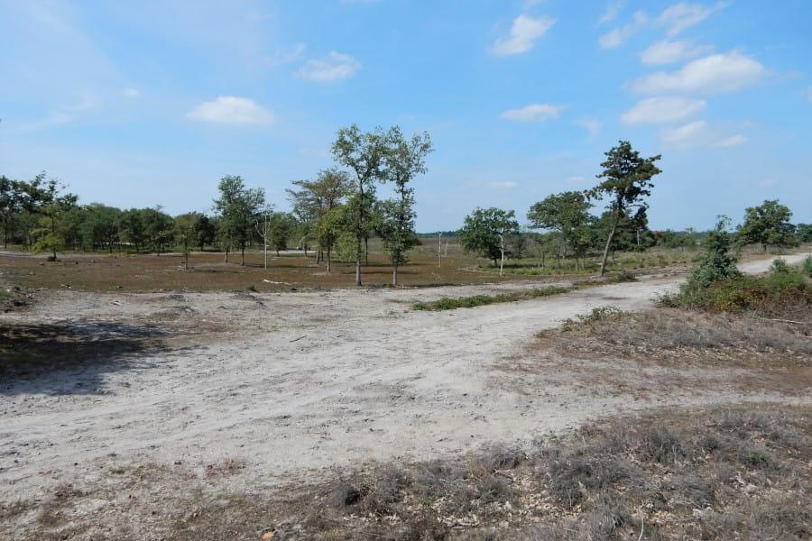 Radtour Nationalpark Groote Peel, Deurnsche Peel und Mariapeel