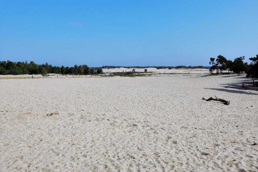 Radtour Nationallandschaft Loonse en Drunense Duinen