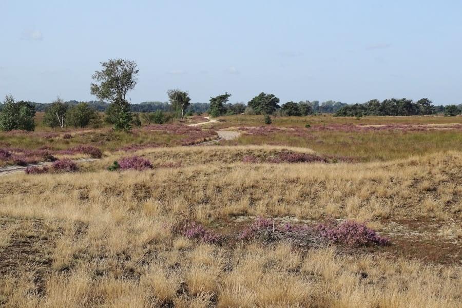 Radtour Heeze-Leende und Groote Heide